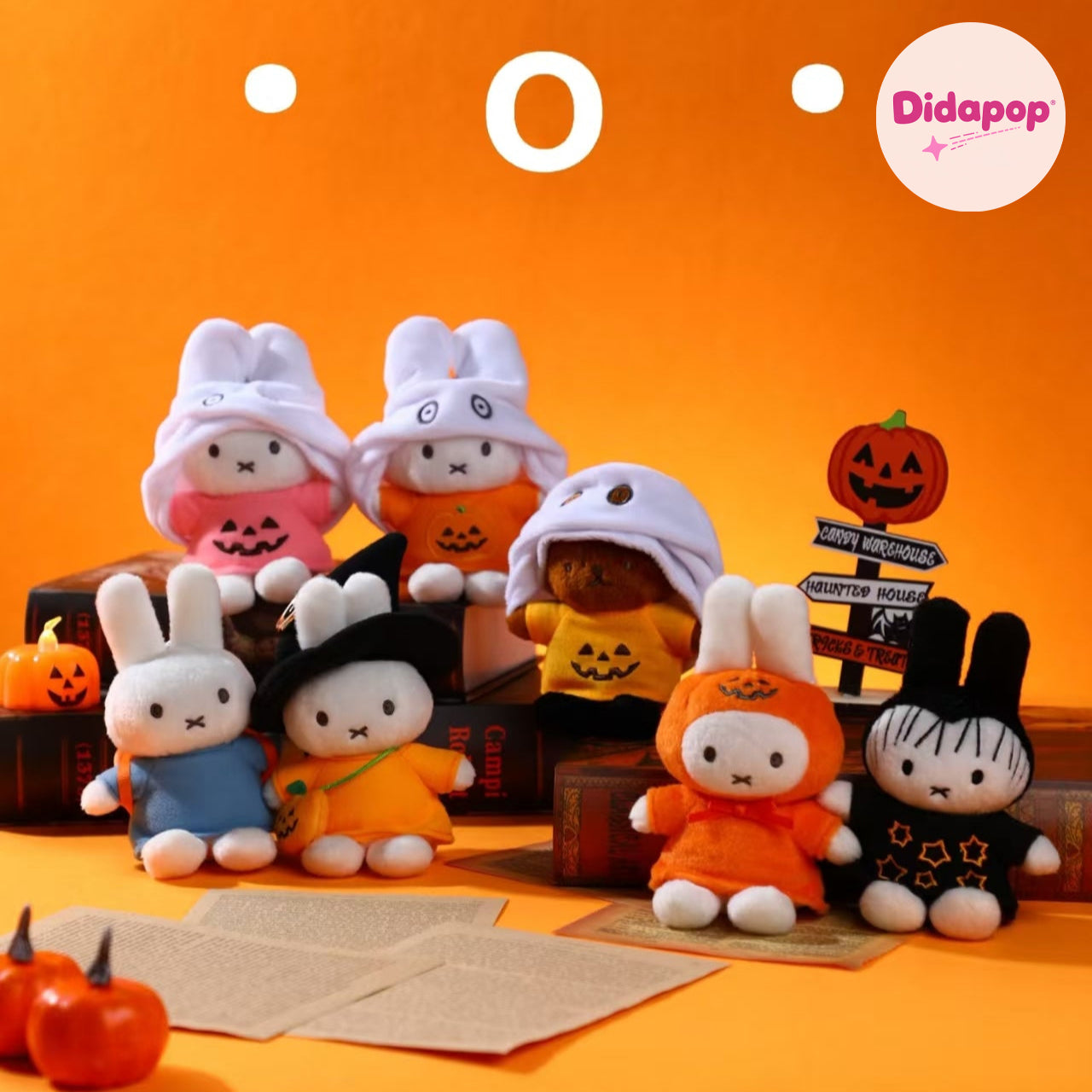 Miffy blind box and plush collection at DidaPop