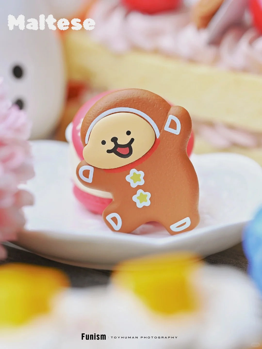 MALTESE Sweet Box Mini Series Puppy Face Blind Box