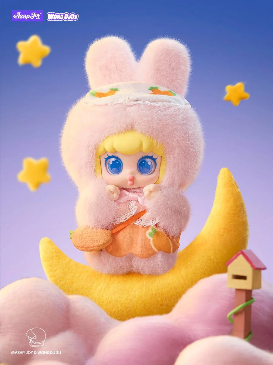 Wongdudu FOREST NEIGHBOR STORY Series Blind Box