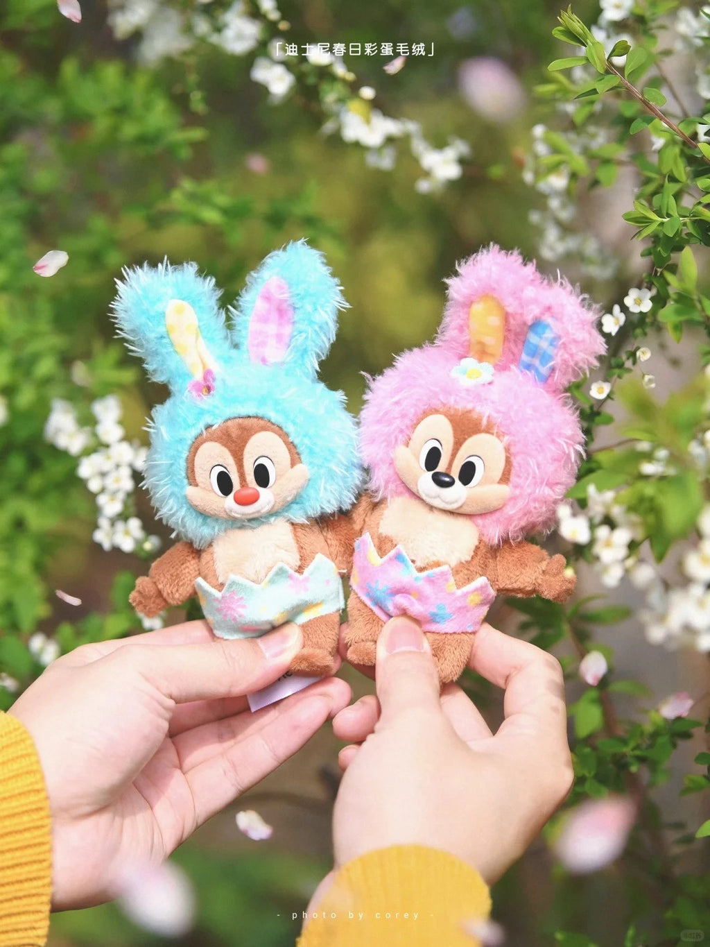DSY Easter Egg Series Plush Blind Box