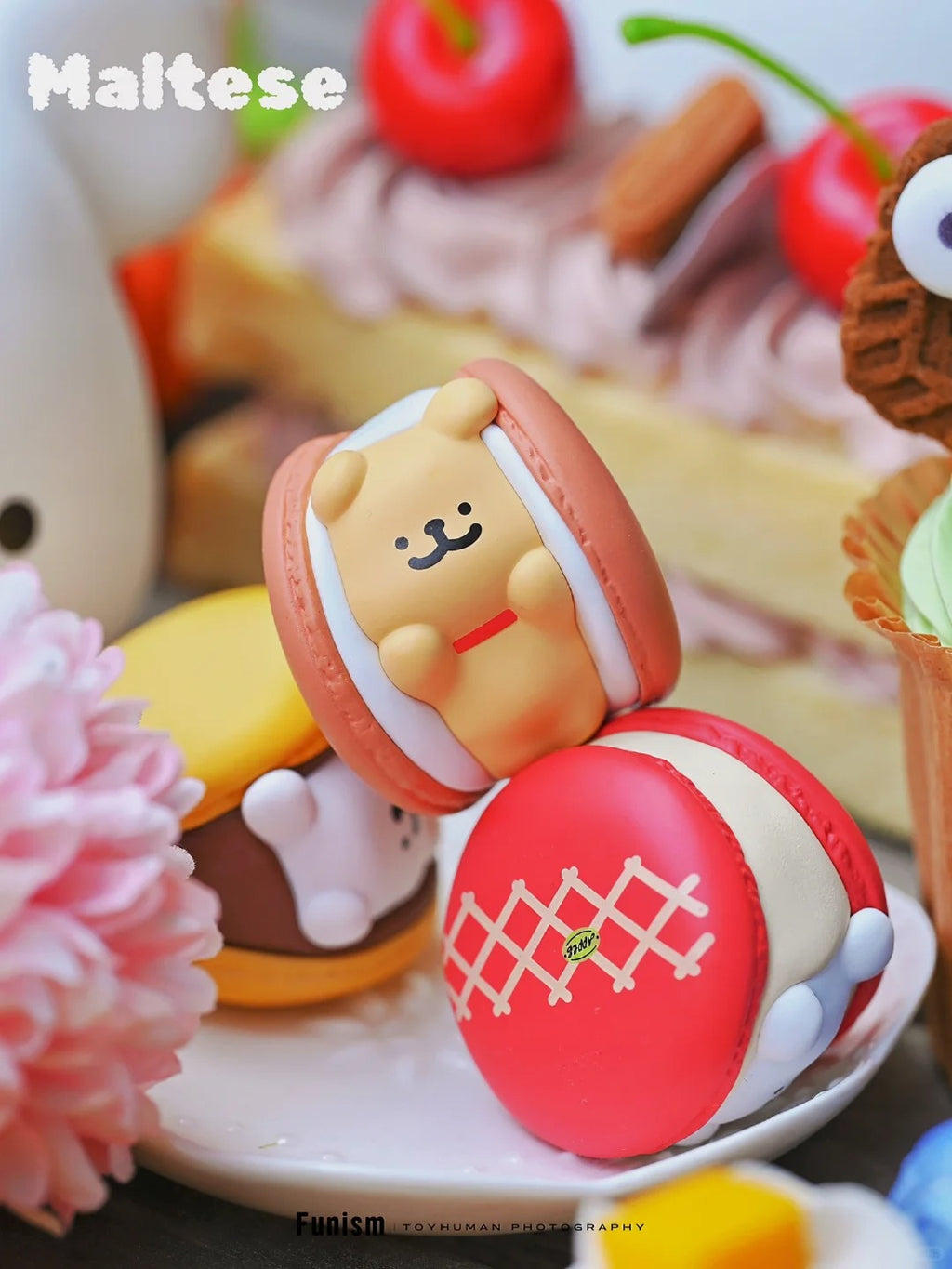 MALTESE Sweet Box Mini Series Puppy Face Blind Box