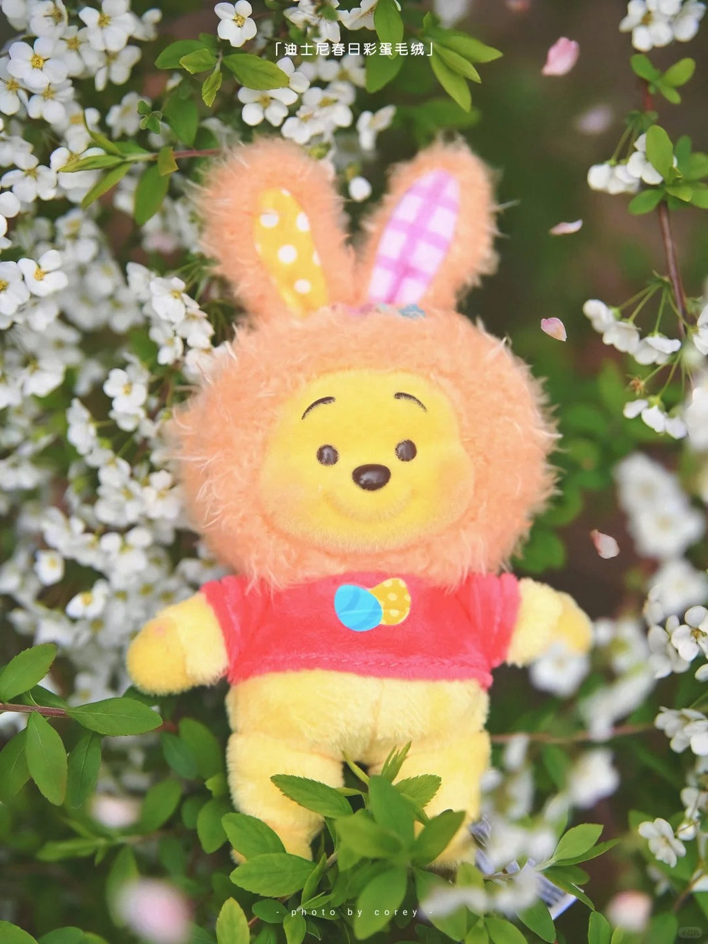 DSY Easter Egg Series Plush Blind Box