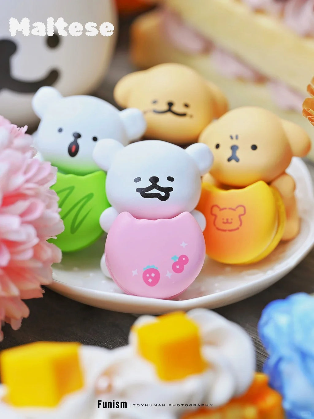 MALTESE Sweet Box Mini Series Puppy Face Blind Box