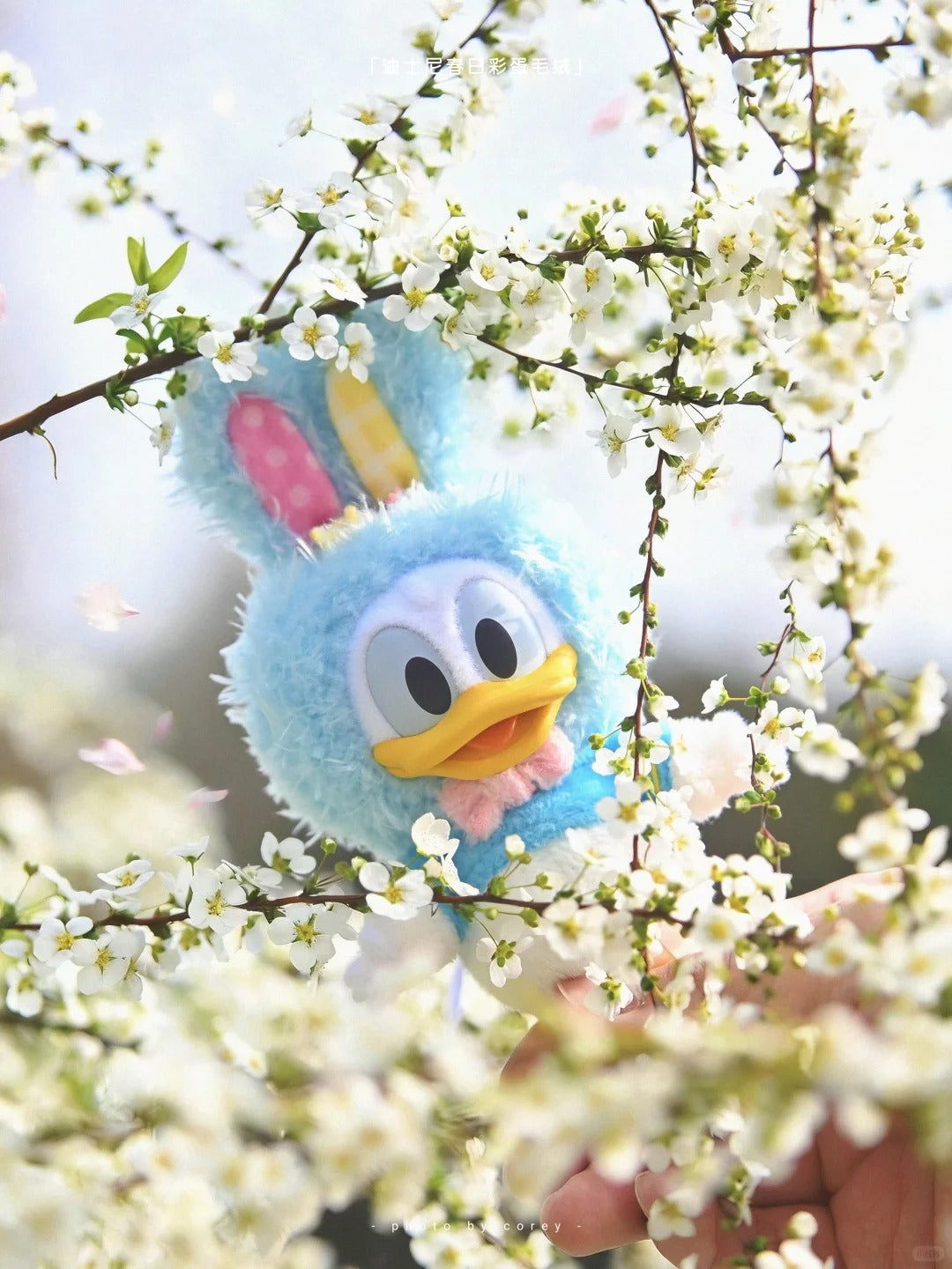 DSY Easter Egg Series Plush Blind Box
