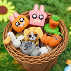 LiPU FRIENDS Perfect Sense Series Blind Box