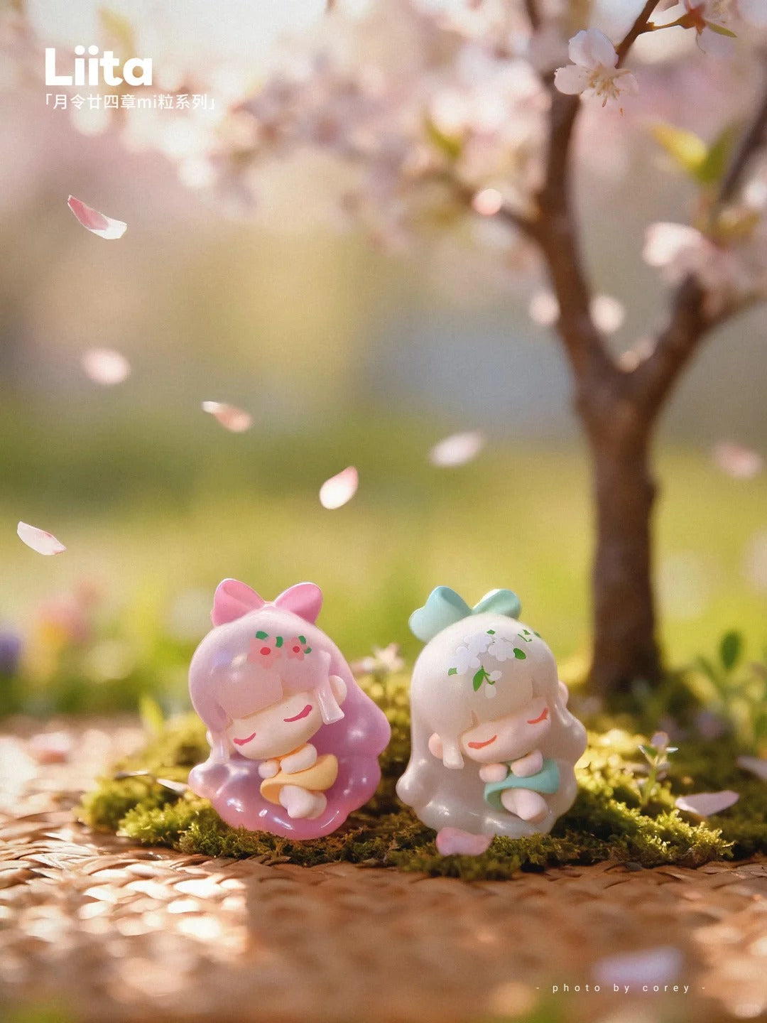 LIITA The 24 Solar Terms milli Series Blind Bag