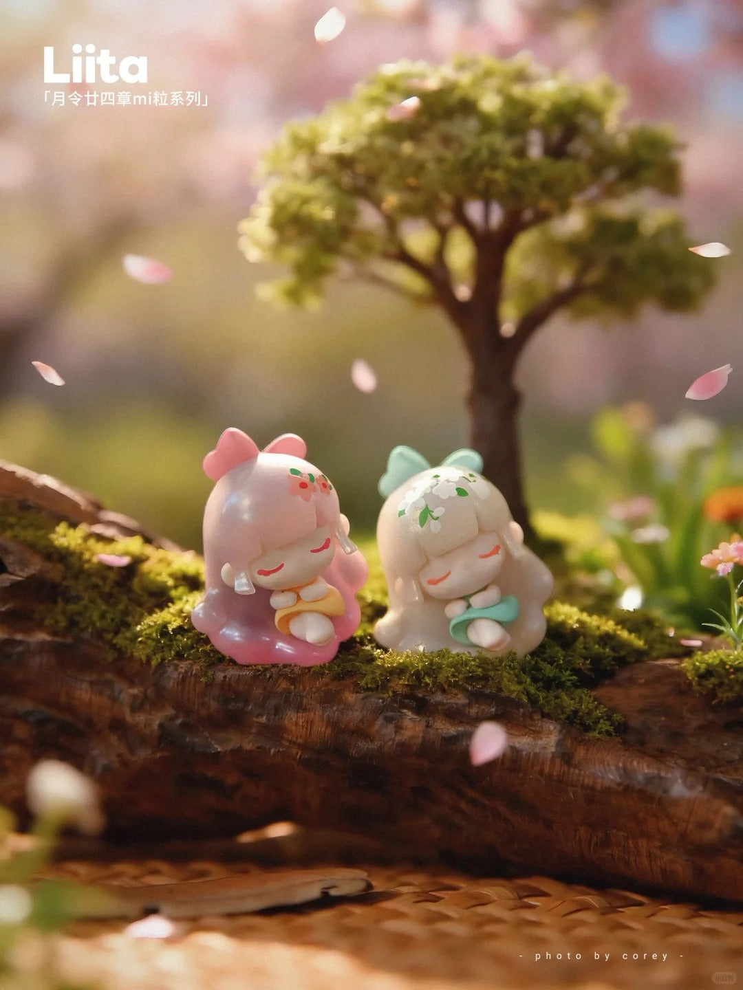 LIITA The 24 Solar Terms milli Series Blind Bag