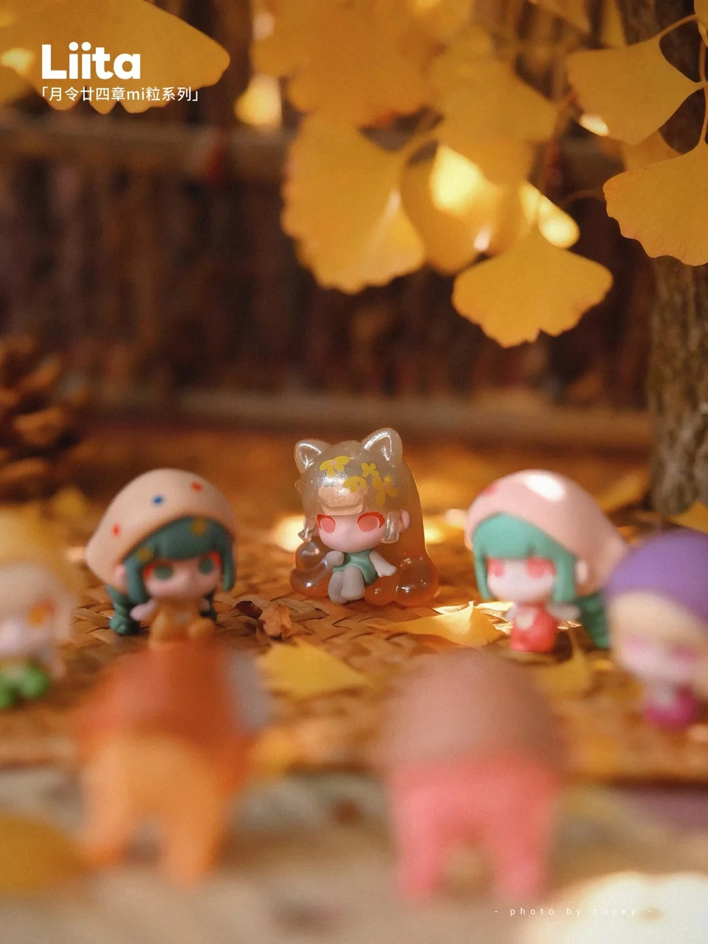 LIITA The 24 Solar Terms milli Series Blind Bag