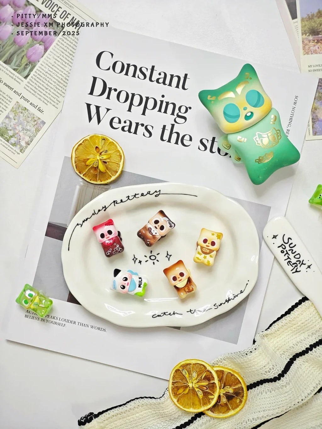 Pitty Snack Paws Shop Plush Mini Beans Blind Bag | Collectible Toy