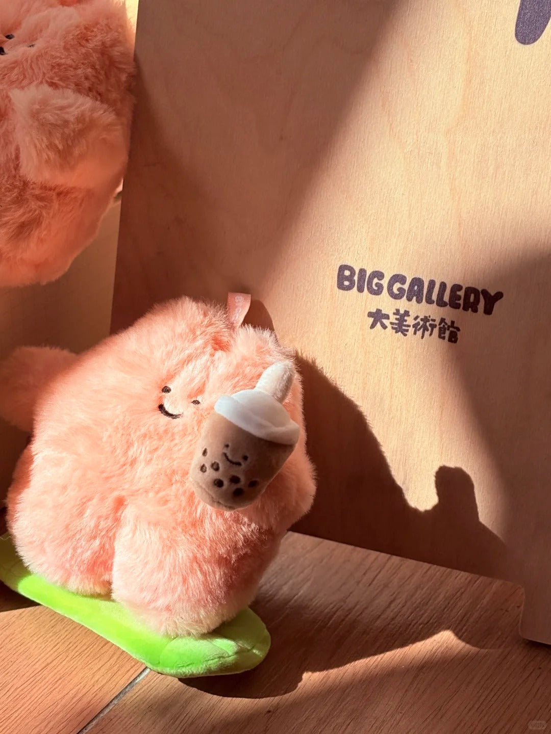 RORO Summer Plan Series Plush Blind Box