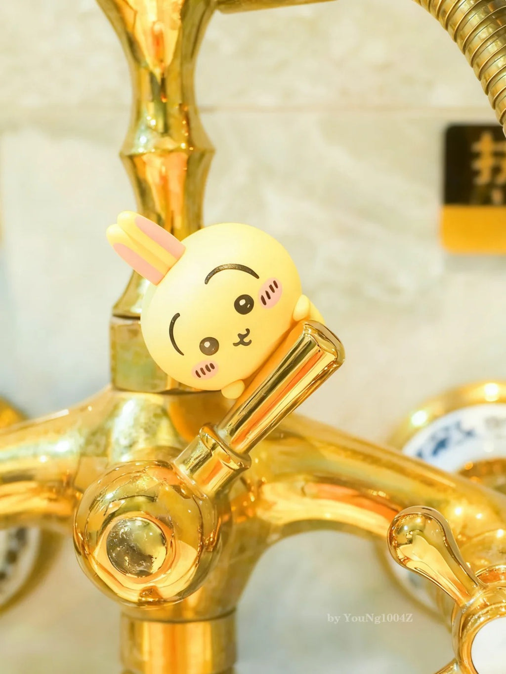 Chiikawa Hippers Series