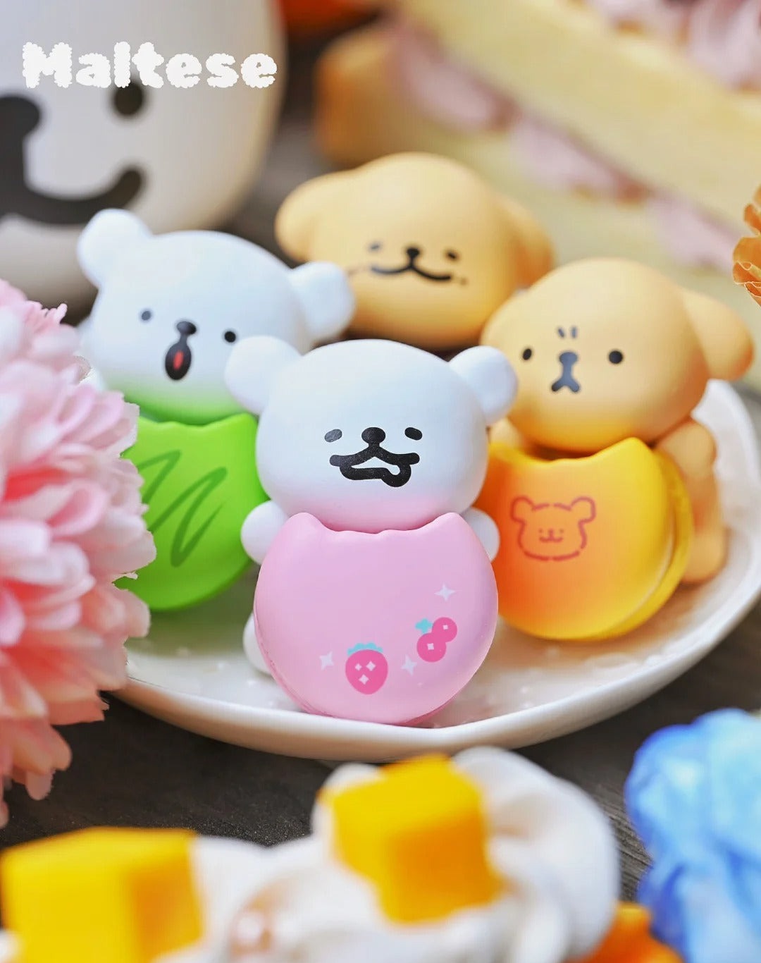MALTESE Sweet Box Mini Series Puppy Face Blind Box